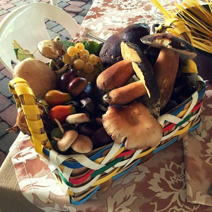 Agriturismo A Do' Cumparone Corbara  Kültér fotó